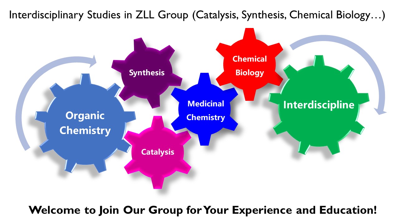 Research in ZLL Group