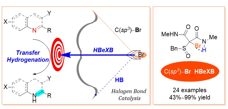18. Hydrogen-Bond-Enhanced Halogen Bonding Organocatalyst with C(sp3)−Br and Sulfoxide Moieties