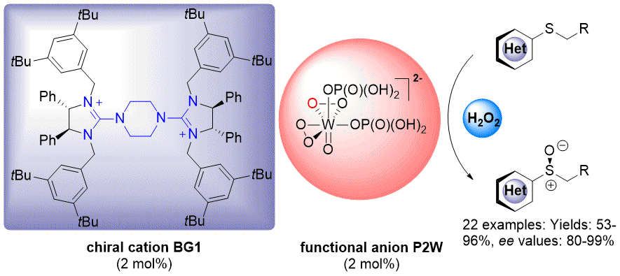7.	Enantioselective Sulfoxidation Catalyzed by a Bisguanidinium Diphosphatobisperoxotungstate Ion Pair.