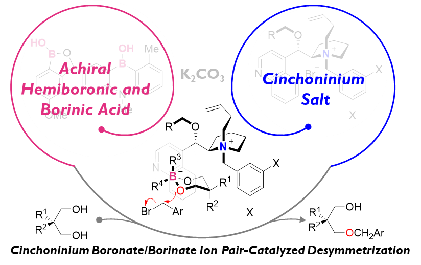 25. Cinchoninium Boronate Ion Pair-Catalyzed Enantioselective Desymmetrization of 1,3-Diols