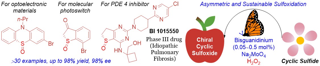 21. Asymmetric and Sustainable Synthesis of Cyclic Sulfoxides with Low Loading of Bisguanidinium Peroxomolybdate Ion-Pairing Catalyst